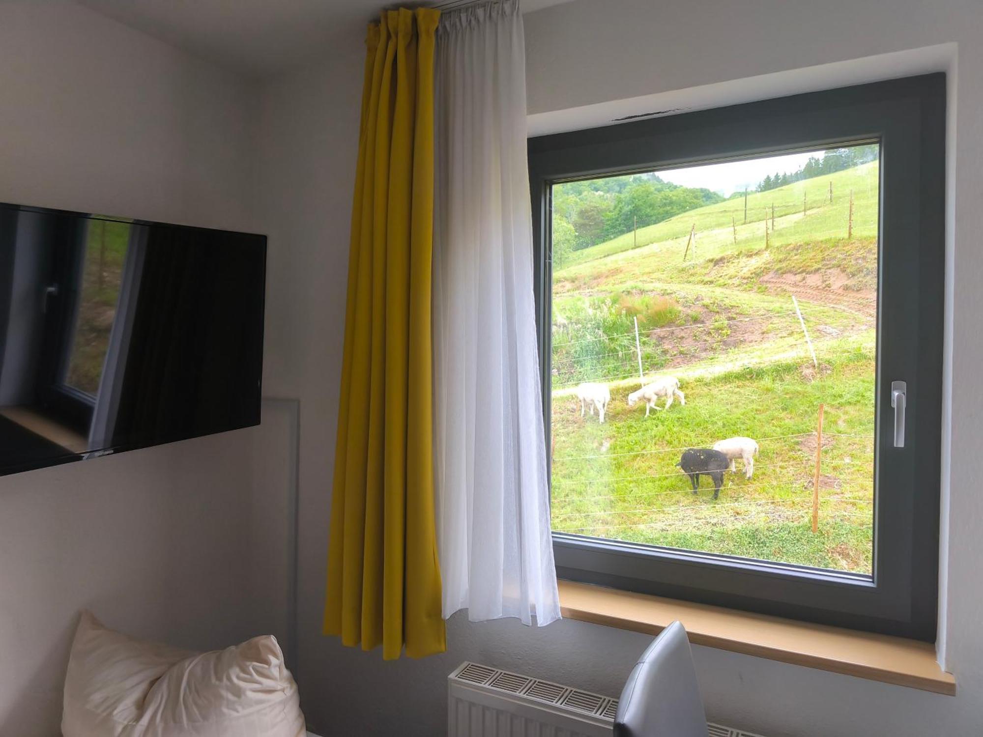 Hotel Sonne Wolfach Room photo